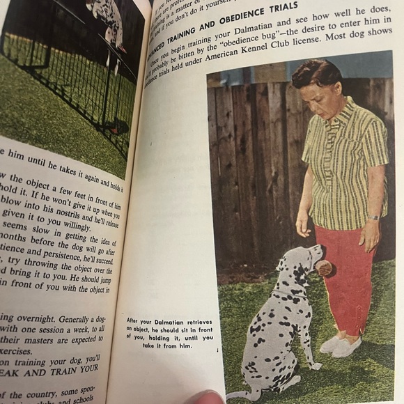 How To Raise And Train Dalmatian Dog Vintage Mid Century Book Dog Lovers Rare - Picture 8 of 10
